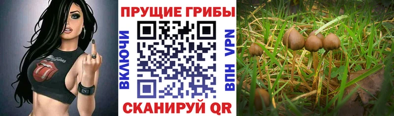 Галлюциногенные грибы GOLDEN TEACHER  OMG ONION  Ишимбай 